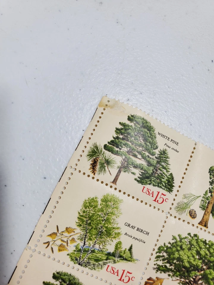 Vintage Issued 1978 American Trees  15 Cent Stamp Sheet - Image 3 of 4