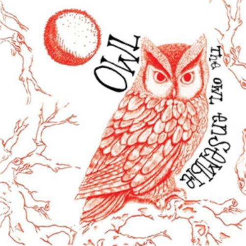 The Owl Ensemble Owl (CD) Album