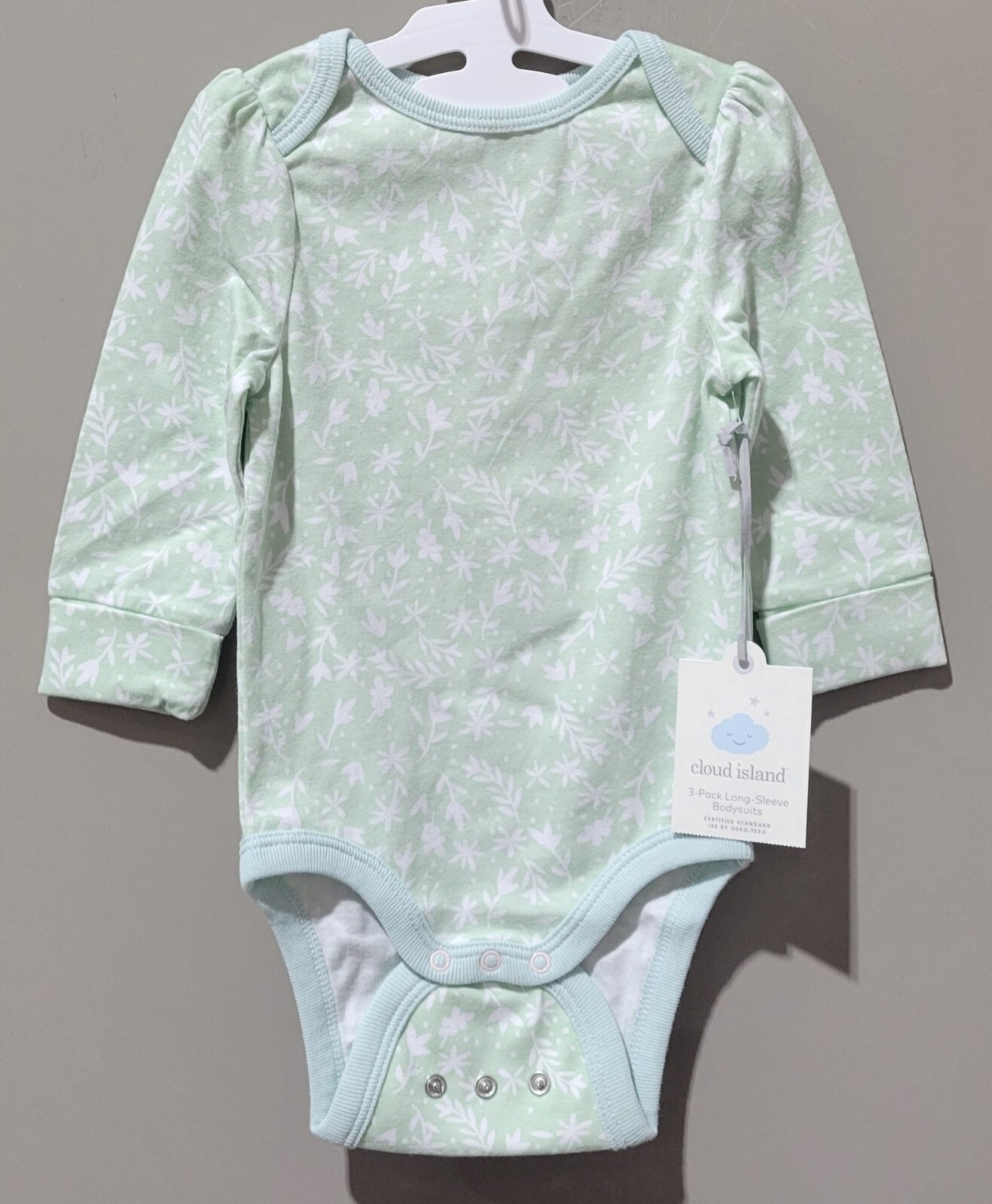 Cloud Island Baby Girls' 6-12 Months Light Green w/ Floral Print Romper Bodysuit-image