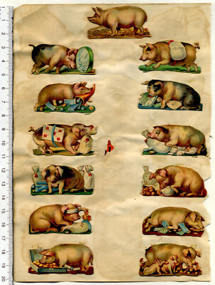 23 Oblaten Schweine Hühner etwa 1895