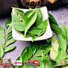 100 Natural Dried best Fresh Organic Curry Leaves taste Spices,Murraya koenigii