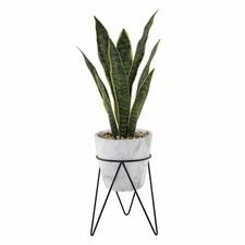 Flora Bunda Artificial 1.75 feet H Snake Plant in 8 inch Marble Finish Pot Stand