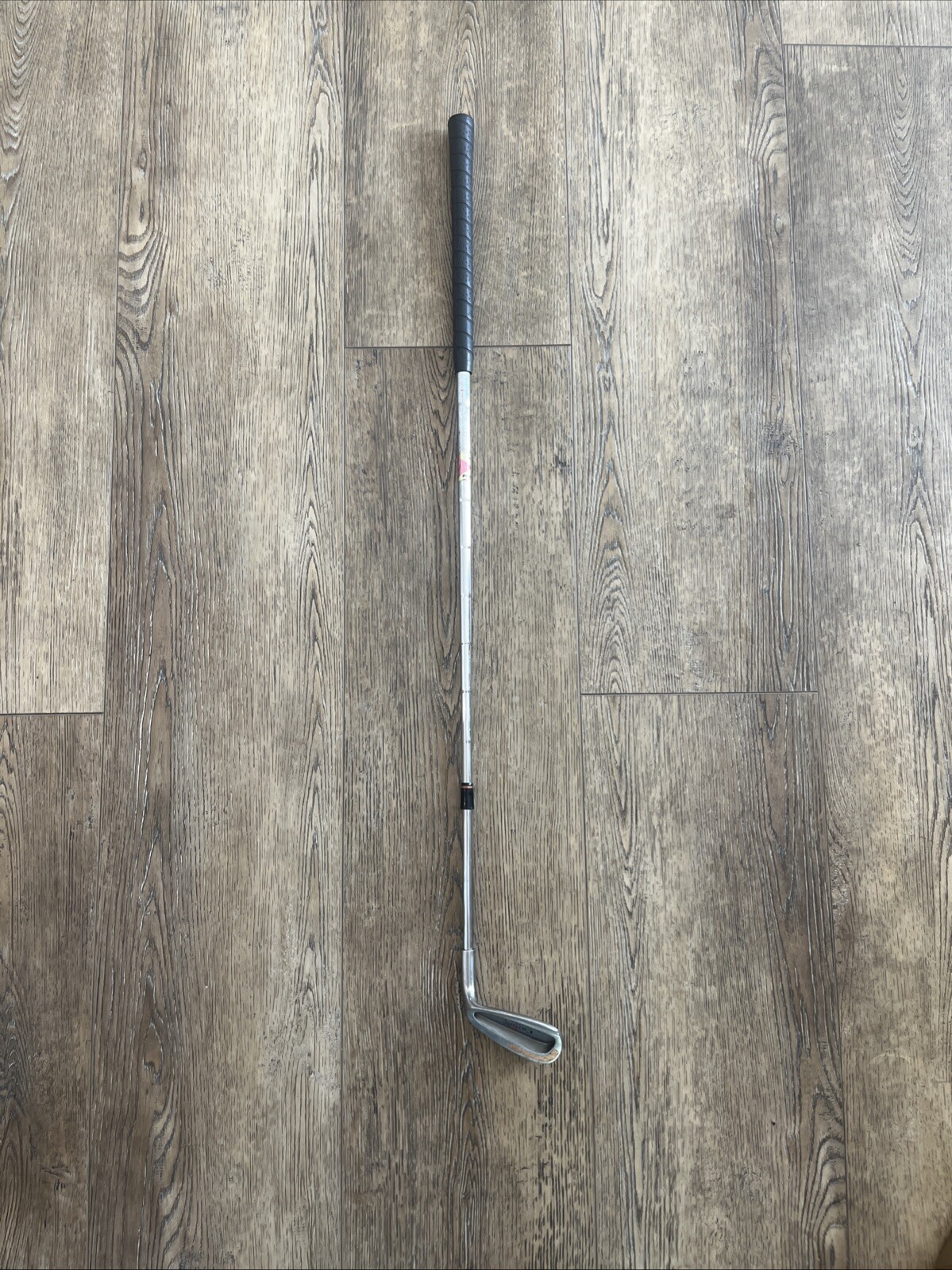 Picture 6 of 6