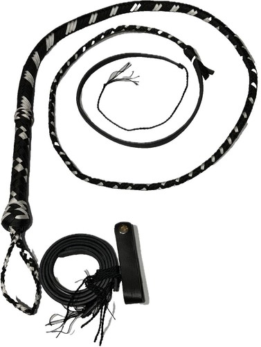 Ocean & Earth OE-1 Whip Large Thruster Dual Tab | eBay