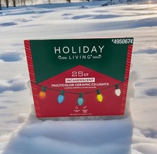 25 Ct Holiday Living,Multi-Color Ceramic C9 Incandescent Lights - 25 Ft Outdoor
