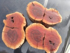 Natural Manzanita Goggle Steaks