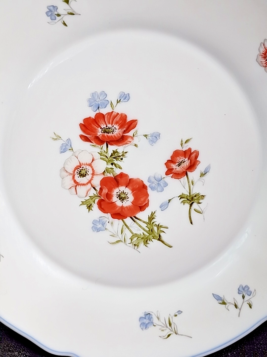 Vintage Arcopal France Dinner Plate Floral Paradise Pattern *READ