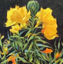 Evening Primrose Yellow painting oil Original 12 X 12  O/C Margaret Aycock
