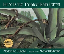 Here Is the Tropical Rain Forest (Web of Life, 1)