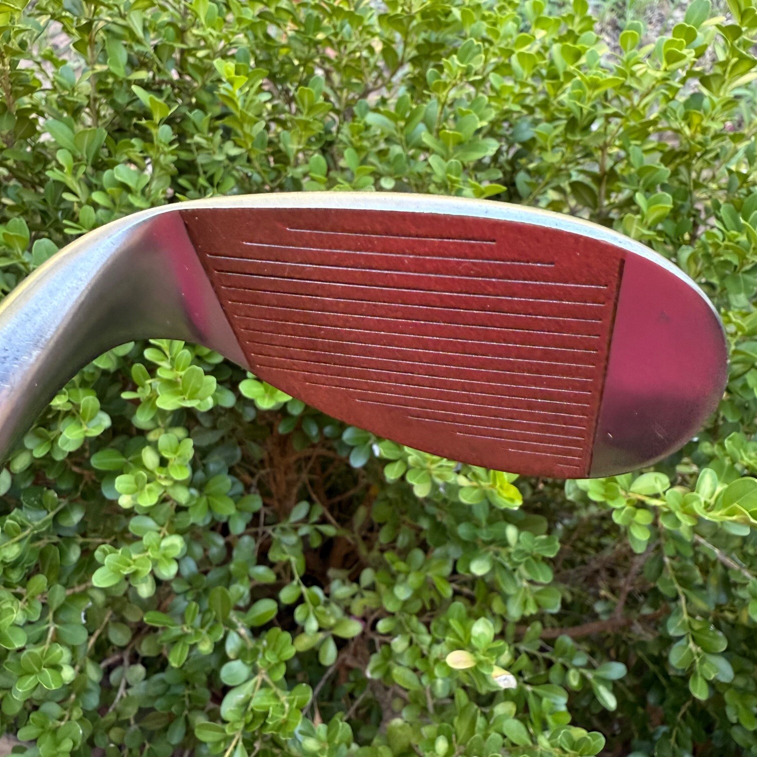 Picture 5 of 11