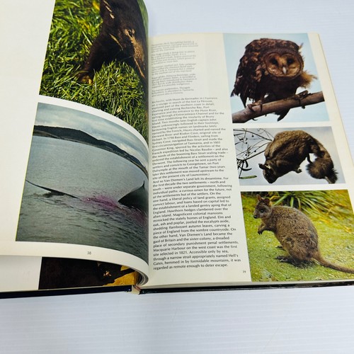 Islands Of Australia By Douglass Baglin & Barbara Mullins Nature Vintage 1972 - Picture 15 of 18