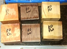 SIX (6) KILN DRIED WALNUT CHERRY POPLAR BOWL BLANKS TURNING WOOD 5" x 5" x 3"