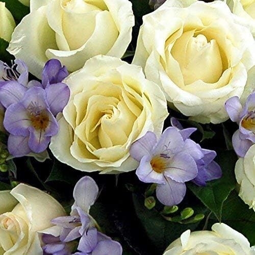 Elegant Rose & Freesia Bouquet - Hand Arranged, Fresh Flowers Delivered Tomorrow - Picture 6 of 6