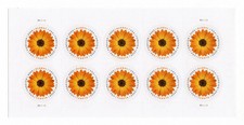 Global African Daisy Scott#5680 - 50pc US Forever M/NH International Pane