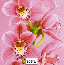  803 TWO Individual Paper Luncheon Decoupage Napkins - HOT PINK ORCHID FLOWER