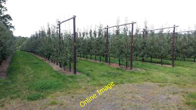 Foto 6x4 Apfel Ernte von 2014 Grittlesend Eine gute Ernte wird nach einem c2014 erwartet