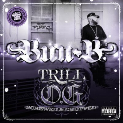Bun-B - Trill O.G.