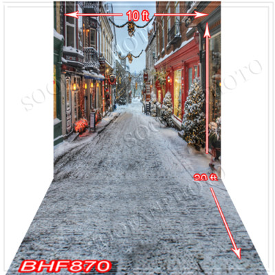 Cityscape 10'x20' Computer/Digital Vinyl Scenic Photo Backdrop Background BHF870