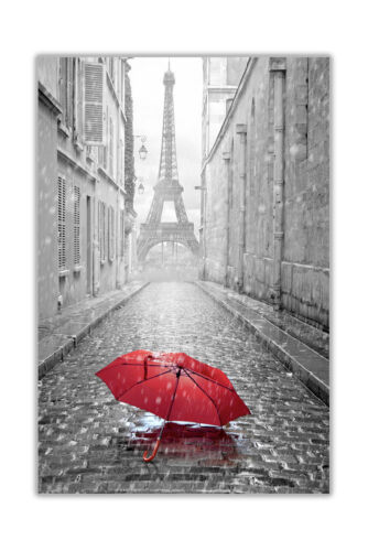 Paris Eiffel Tower the Champ!Photo and Print Canvas Collectors - 第 1/1 張圖片