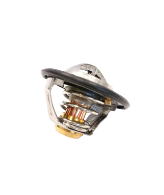 Cummins Thermostat 4929644 3973835