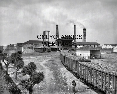 1904 OLD SUGAR CANE MILL AT FINCA RAILROAD TRAIN CARS HAVANA, CUBA 8x10 PHOTO
