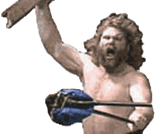 Universal Wrestling Power Pro PPW Volumes 1,2,3,4,5,6 DVD 6 DVD's in Set! - Picture 8 of 10