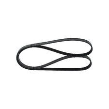 Keilrippenriemen für Fiat Stilo 192 | 24619709