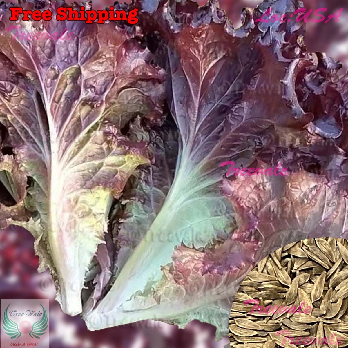 Red Lettuce SEEDS | Red Leaf Lettuce SEEDS | NON-GMO, Vegetable Seeds ...