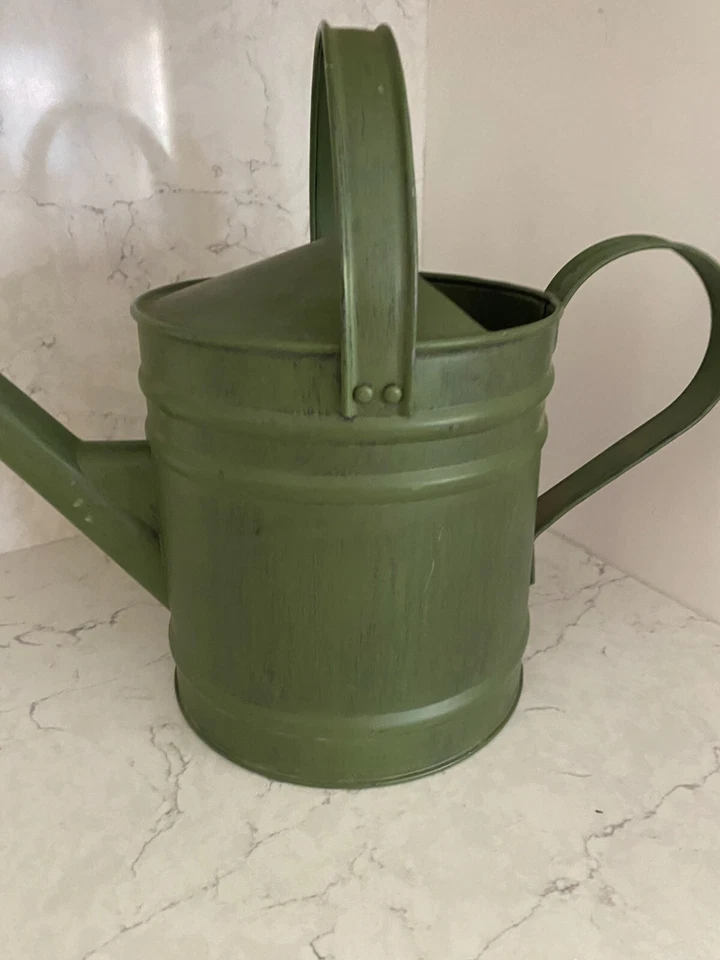 Equipo de jardinería regadera metálica pintada verde doble mango Foto 2 de 4