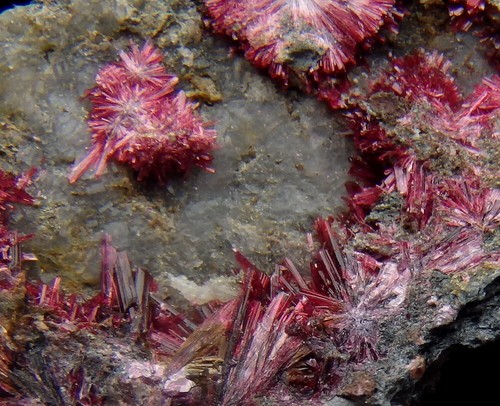 ERYTHRITE -- dark purple crystals !! MOROCCO Anti-Atlas Mts. - Bou Azzer /pi061 - Picture 11 of 13