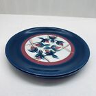 Psilkotch Art Pottery Porcelain Decorative Plate. Floral