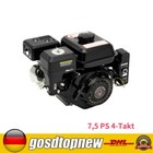 Foto 7 di 12
