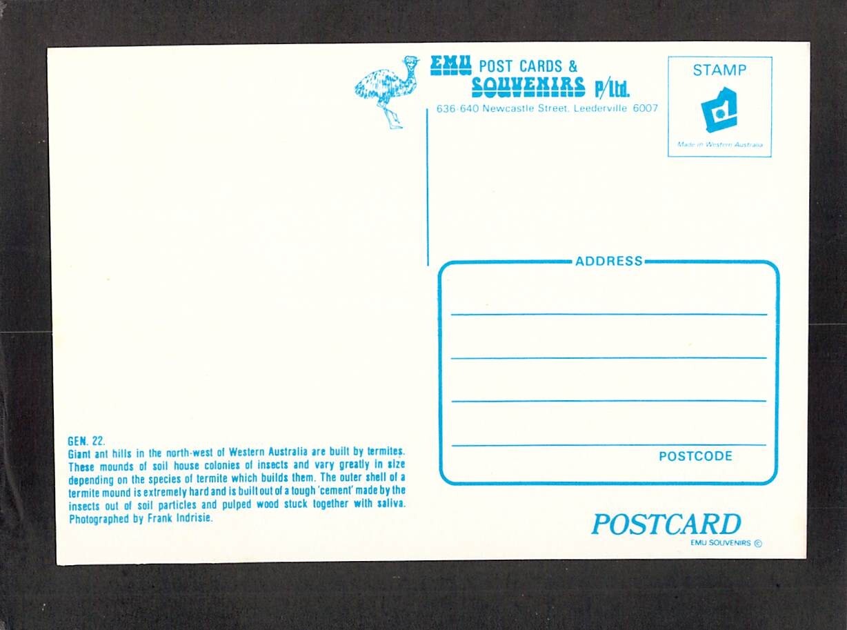 C7271 Australia WA Giant Ant Hill Port Hedland postcard