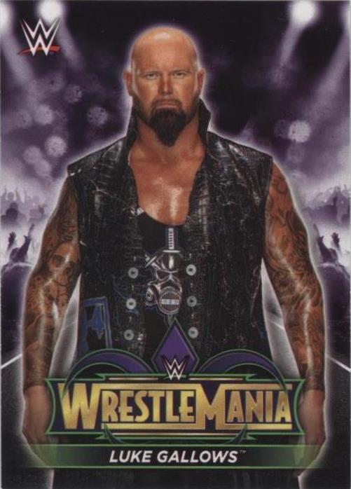 2018 Topps WWE Road to Wrestlemania - Luke Gallows #R-19 - 1 of 1