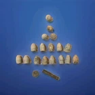 Civil War Era Mini Balls and Musket Ball Plus A Union Soldier Eagle Button Lot