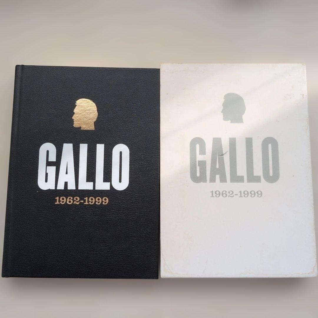 【希少本,初版】VINCENT GALLO 1962-1999 Vincent Gallo 1962-1999 Japanese Original Photo Book Limited