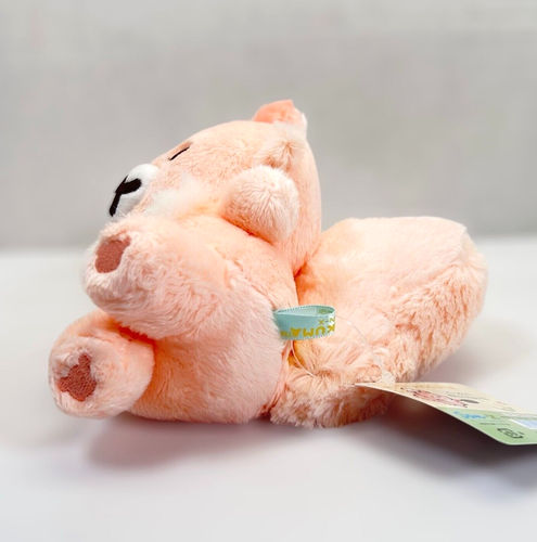 Neu Rilakkuma No Korisu Plüsch Sakura Baby Eichhörnchen 6,5 in San-X Stofftier - Bild 7 von 8