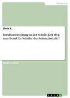 Chris K. | Berufsorientierung In Der Schule. Der Weg Zum Beruf FüR SchüLer...