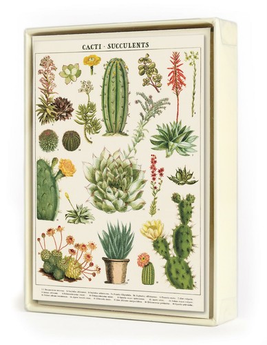 Cavallini - 8 Notecards - 4 Designs/2 Per Design - Cactus/Cacti/Succulents - Picture 7 of 7