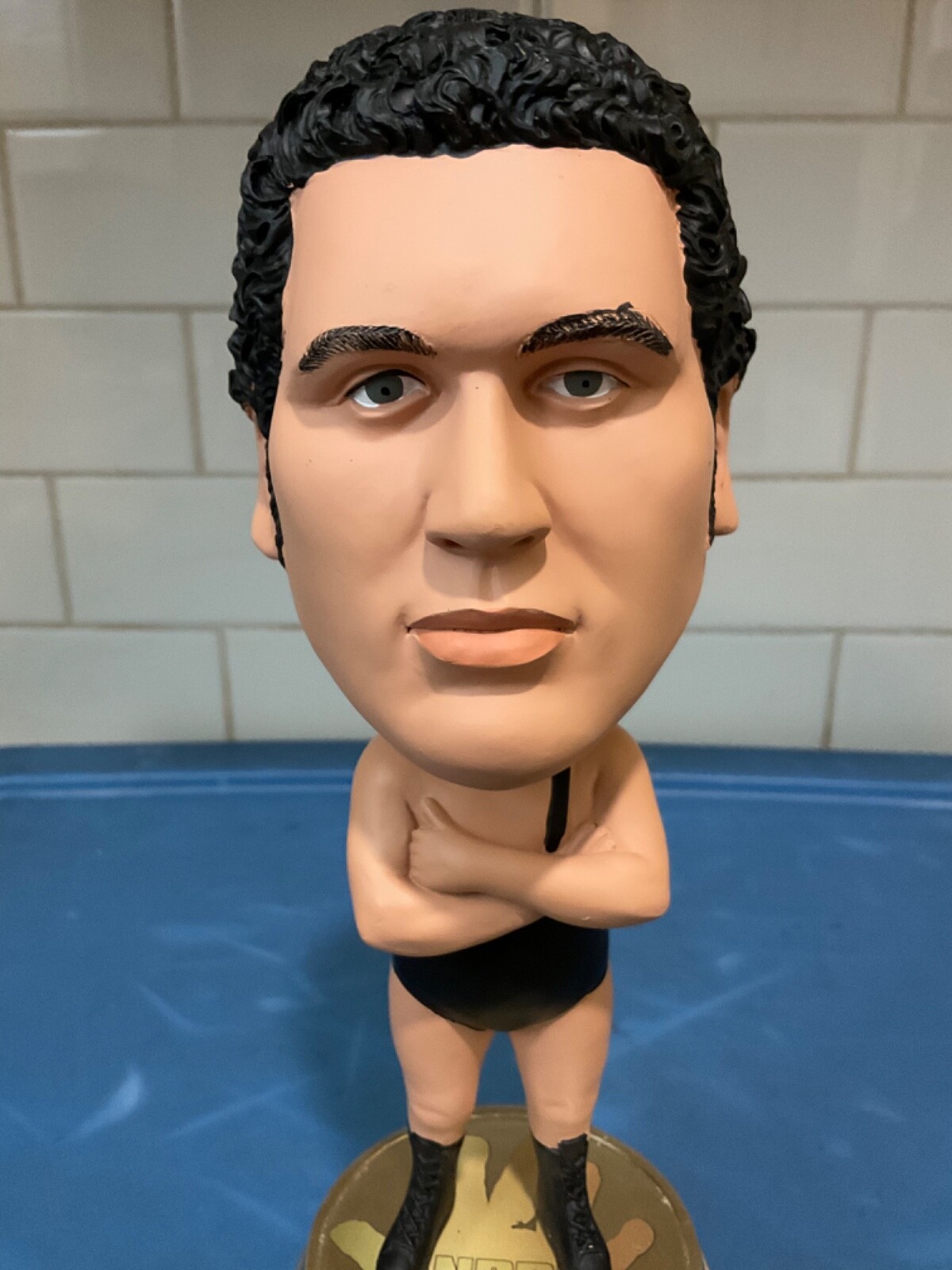 FOCO / Forever Collectibles WWF Andre the Giant “Big Heads