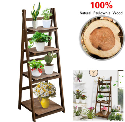 audrey ficus care Ficus audrey  Plant Material