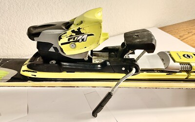 Fischer RC4 R-Tune World Cup GS Racing Skis - 163cm With Fr11