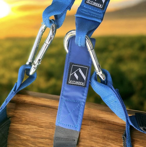 Suspension Training Straps System mit Karabinern - Home Gym Bodyweight Trainer