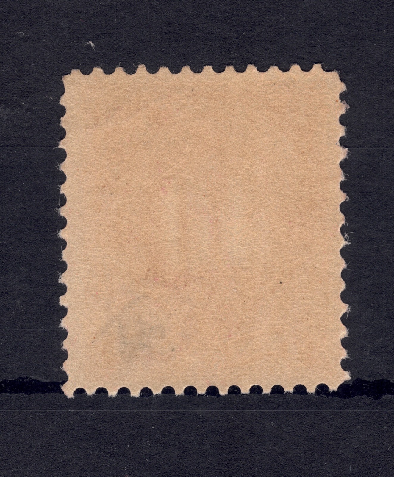 Foto 2 di 2