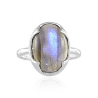 Cavill Silberring Damen Labradorit Oval 5,585Ct 925 Sterling Silber