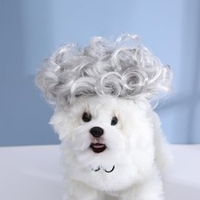 Funny Dog Cat Cosplay Wig, Pet Apparel, Explosive Grey Headwear Costume Toy