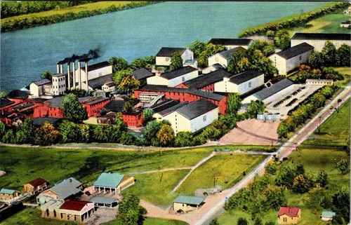 Owensboro, KY Kentucky GLENMORE DISTILLERIES Bourbon/Whiskey Co ca 1940er Postkarte