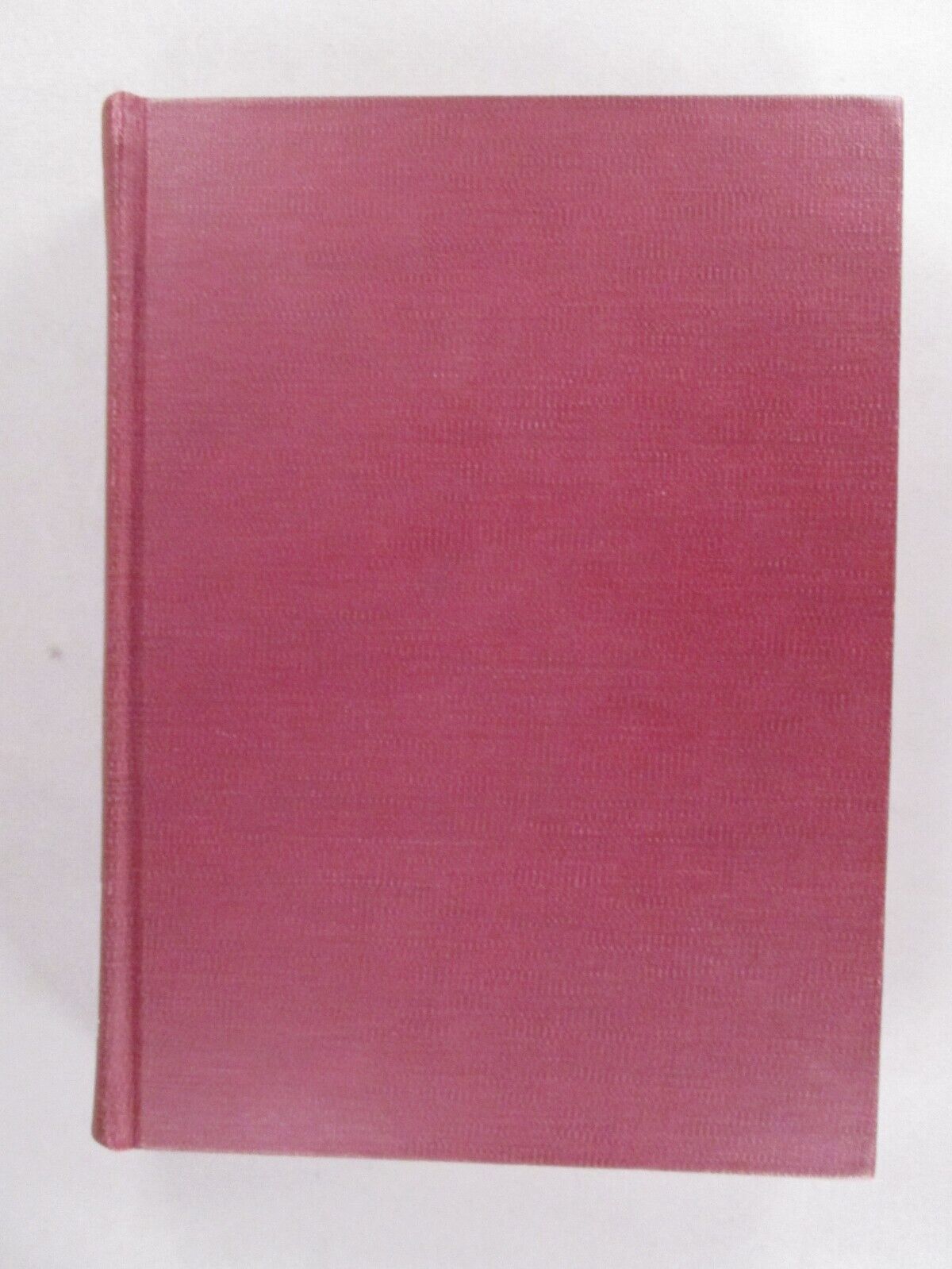 Foto 2 di 7