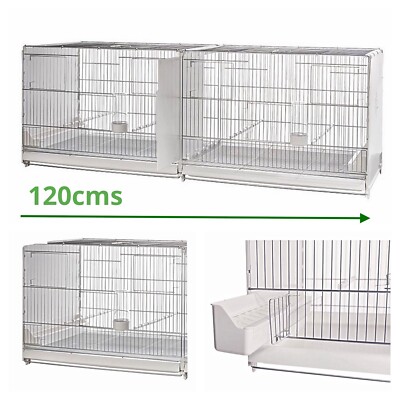double hamster cage divider
