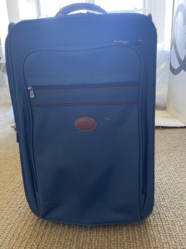 longchamp hand luggage